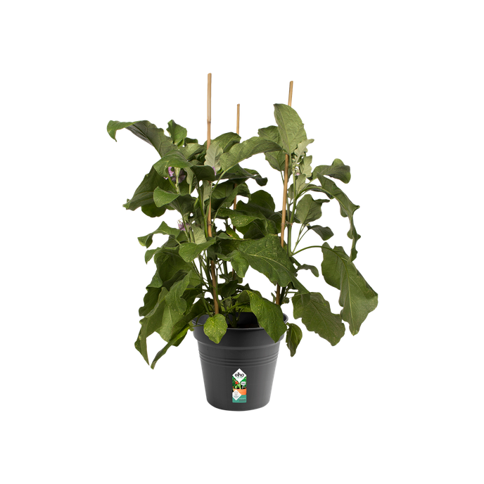 green basics growpot 21cm living black